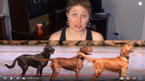 A screenshot of video with Colleen and picture of three dogs